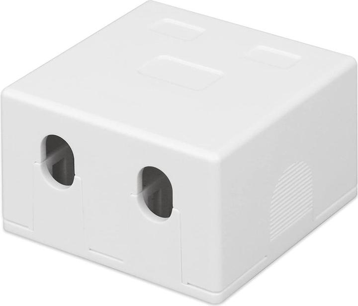 Actual product image Techly 2-Port Keystone Jack Surface Mount Box White