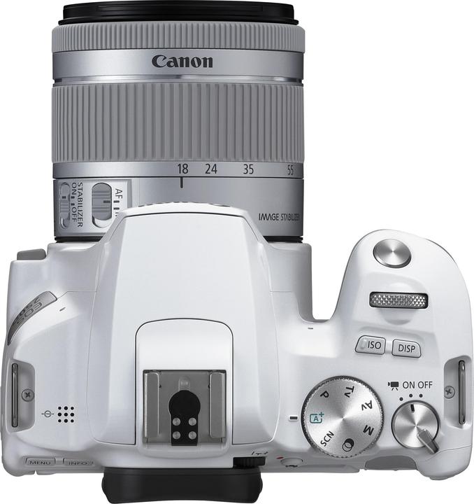 Actual product image Canon EOS 250D (18 - 55 mm, 24.10 Mpx, APS-C / DX)