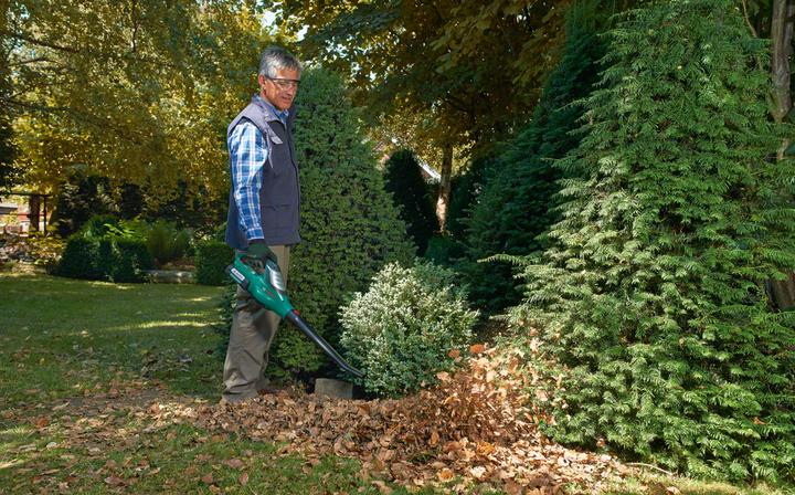 Actual product image Bosch Home & Garden ALB 36 LI (EU version) (Rechargeable battery operated)