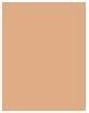Produktbild Sensai Cellular Performance Cream Foundation (CF13 WARM BEIGE)