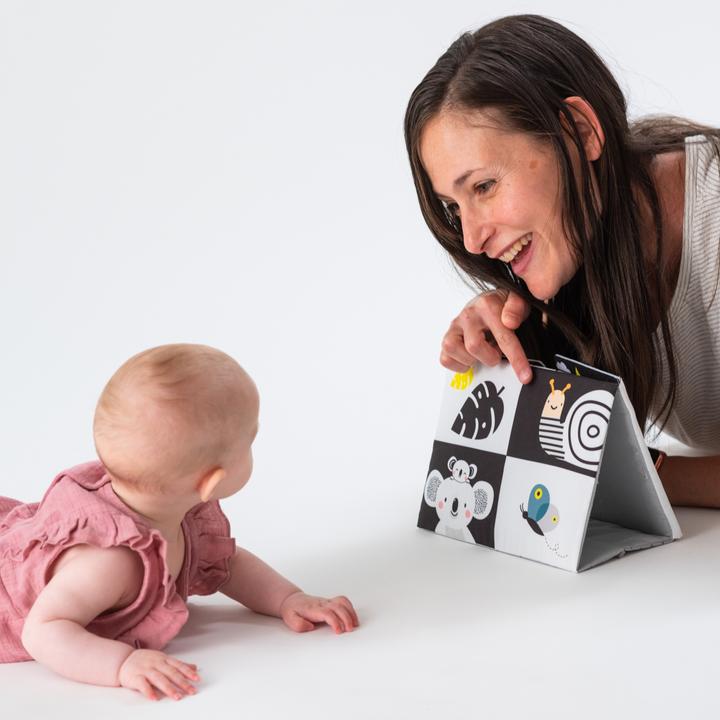 Produktbild Taf Toys Koala (Deutsch, Französisch, Italienisch, Englisch)
