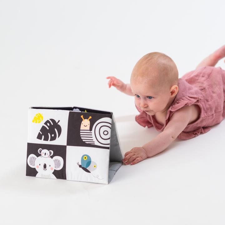 Produktbild Taf Toys Koala (Deutsch, Französisch, Italienisch, Englisch)
