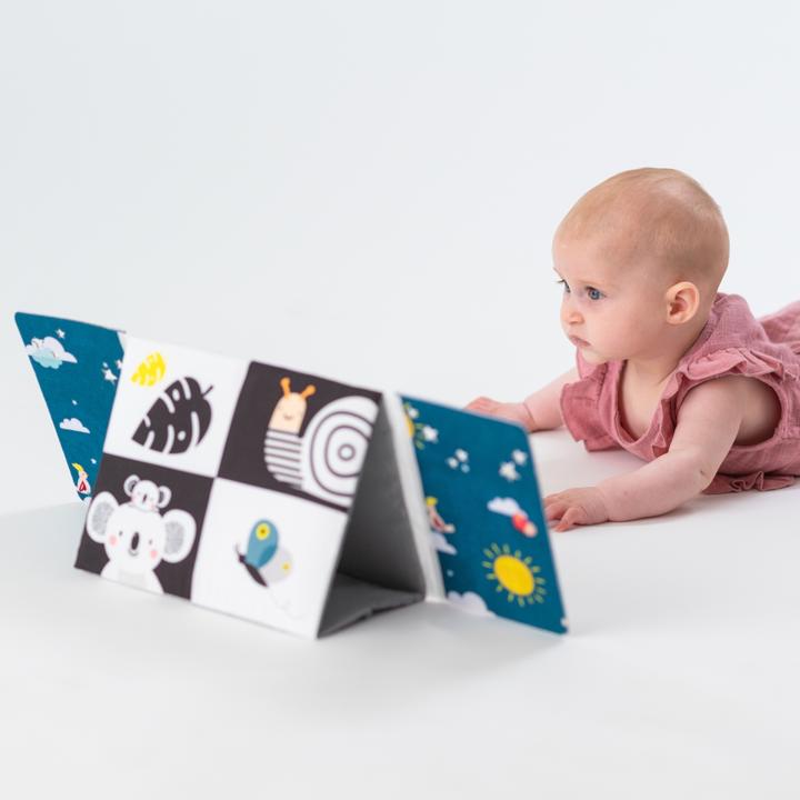 Produktbild Taf Toys Koala (Deutsch, Französisch, Italienisch, Englisch)
