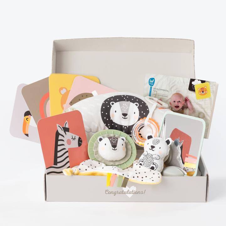 Taf Toys Play set for newborns