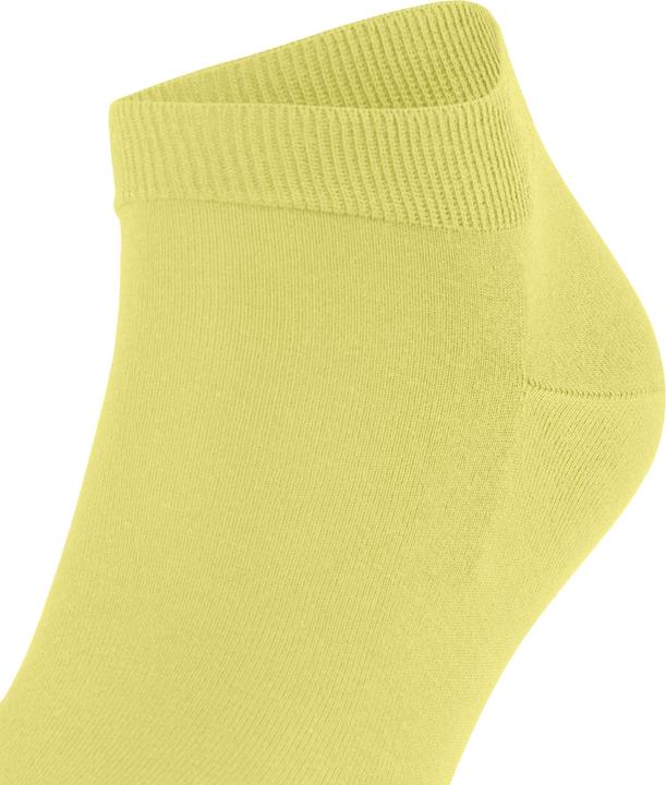 Actual product image Falke ClimaWool Herren (43 - 44)