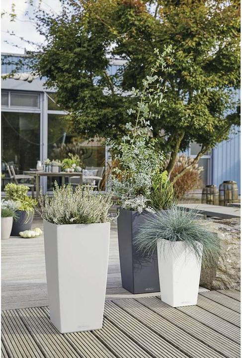 Produktbild Lechuza Cubico Color (39.50 cm)