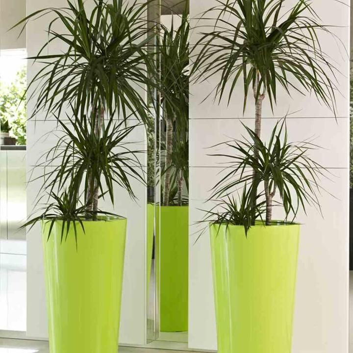 Productafbeelding Euro3plast Planter (33 cm)