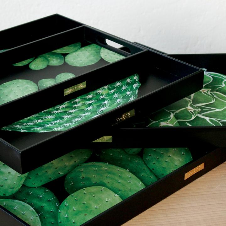 Actual product image Taitù Cactus Tray