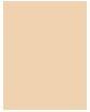 Actual product image Dermacol 24h Control (0)