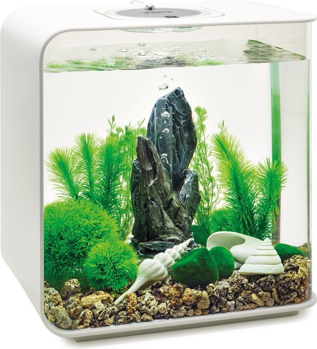 Actual product image Oase biOrb Aquarium 30 Decor Set (Embellishment, other buildings)