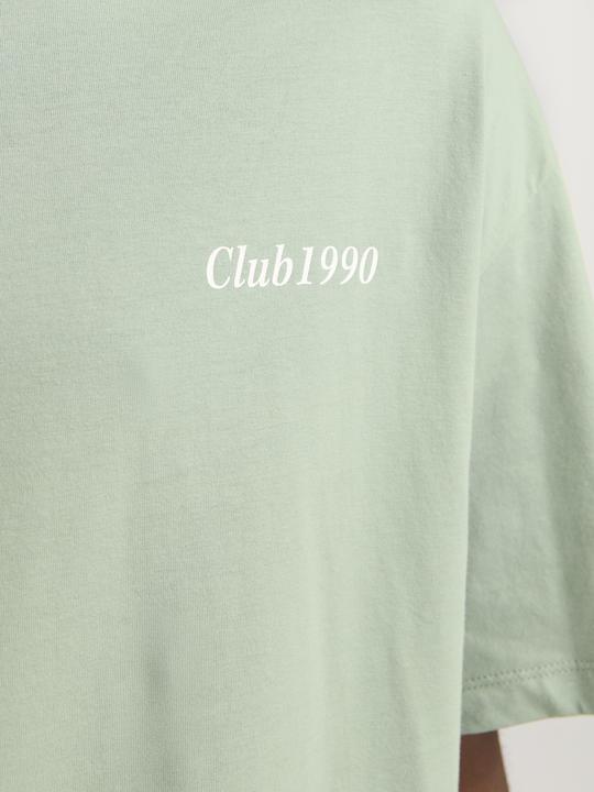 Actual product image Jack & Jones Jjebradley Graphic Tee Ss O-Neck Noos (L)