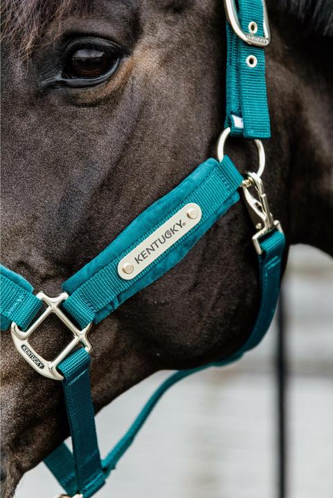 Produktbild Kentucky Horsewear Samthalfter
