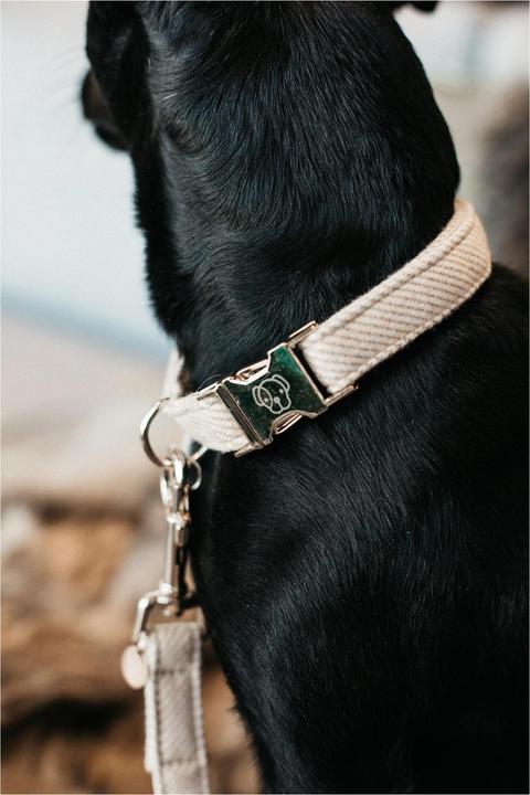 Actual product image Kentucky Dogwear Dog collar Wool (S, Dog, General)