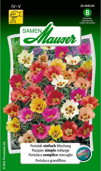 Produktbild Samen Mauser Portulak einfache Mischung (Blumensamen)