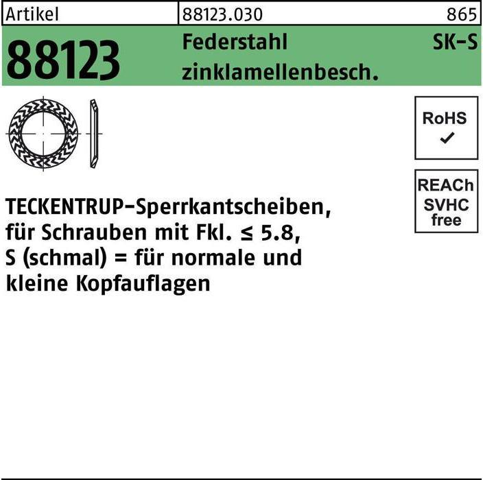 Actual product image Teckentrup Locking washer R 88123 S 10x20,25x1,6 Spring steel zinc flake coated