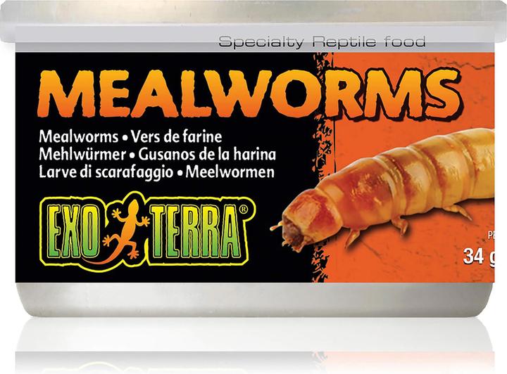 Exo Terra Cibo per rettili Pasti di vermi 34g (1 x, 0.03 kg)
