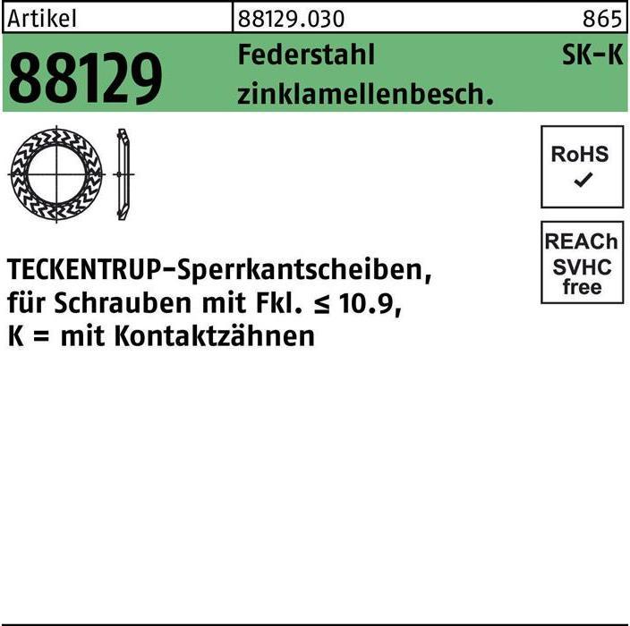 Actual product image Teckentrup Lock washer R 88129 K 8x16.2 x1.4 Spring steel zinc flake coated