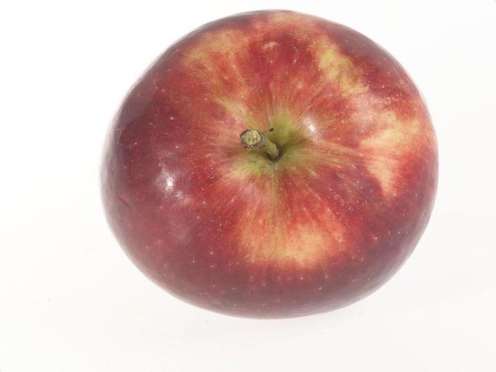 Image du produit Lubera Deux pommiers en colonne pour le bac