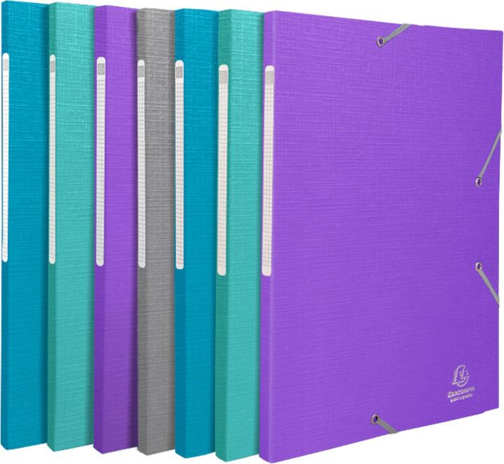 Produktbild Exacompta Sammelmappe (A4, 1 x)
