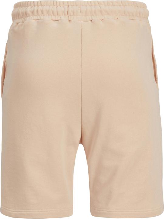 Actual product image Jack & Jones Regular Fit Shorts Shorts (XL)