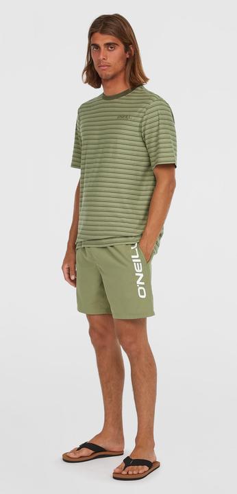 Immagine prodotto O'Neill CALI 16" SWIMSHORTS (S)