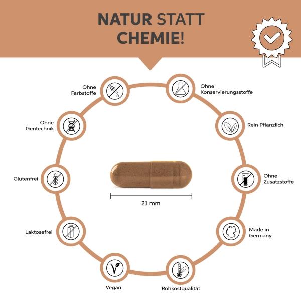Produktbild Eltabia Bio Zimt Kapseln 100 (100 Stück, Kapseln)