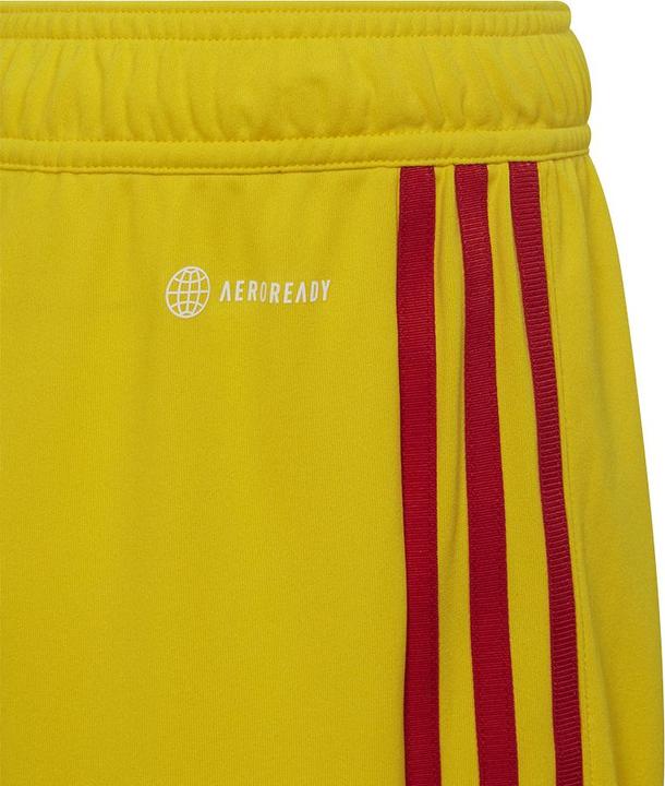 Actual product image adidas Tiro 23 training shorts kids (128)