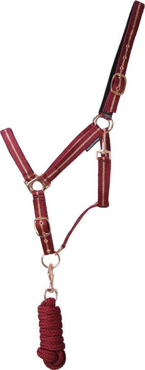 Immagine prodotto Hy Set di cavezza e guinzaglio per cavalli Glitter