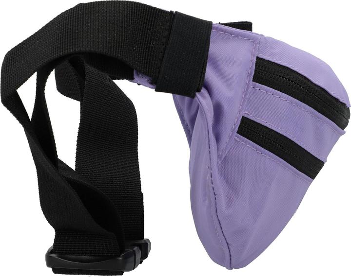 Actual product image Dakine Hip Bag Classic Hip Pack Violet