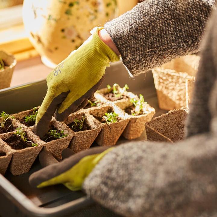 Produktbild Siena Garden Anzuchttöpfe