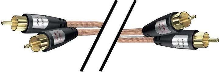 Image du produit Inakustik 2in1 (0.75 m, RCA)