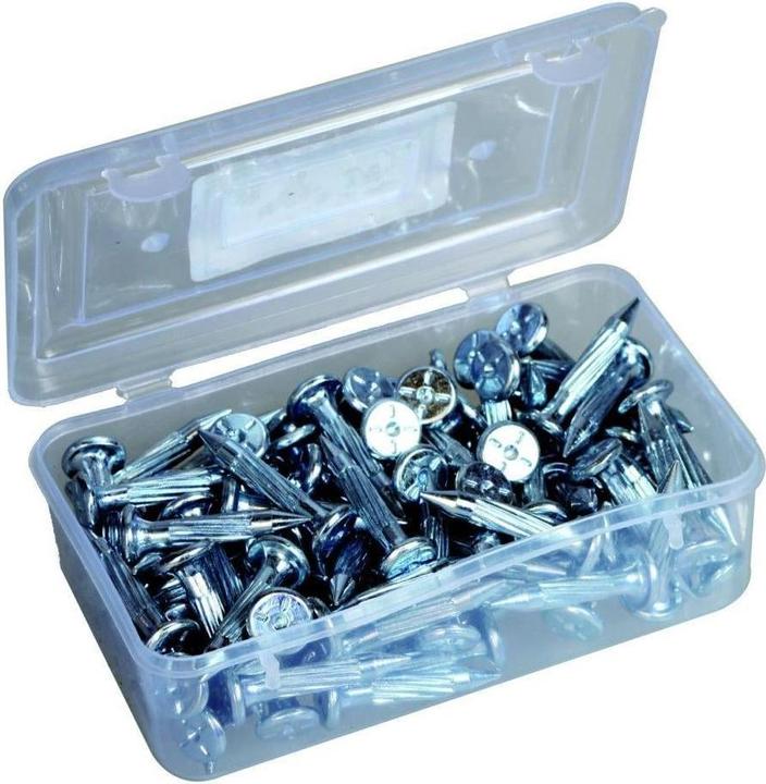 Actual product image Laserliner PK survey nails 32 x 6.35 mm 100 pieces