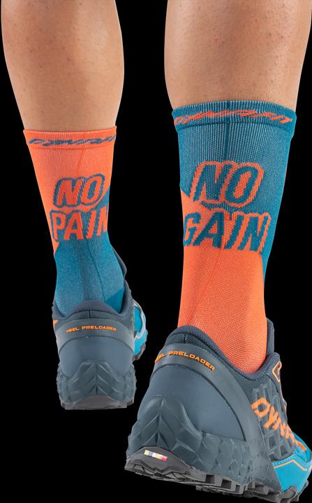 Actual product image Dynafit No Pain No Gain Socks Unisex (35 - 38)