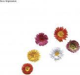 Actual product image Rayher Quilling Fringer, 1 piece (1 Sheets)