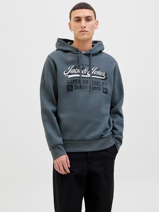 Immagine prodotto Jack & Jones JJELOGO SWEAT HOOD 2 COL 25/26 NOOS (L)