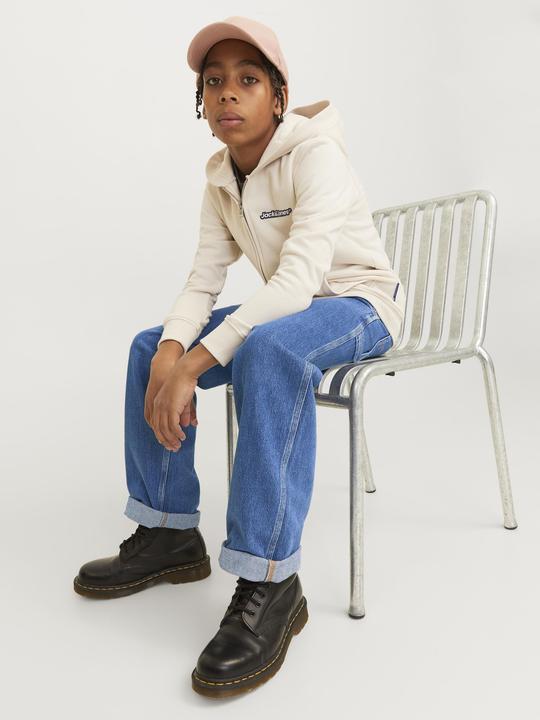 Actual product image Jack & Jones JJIALEX JJCARPENTER MF 055 JNR Baggy Fit Jeans Junior Baggy Fit Jeans (152)