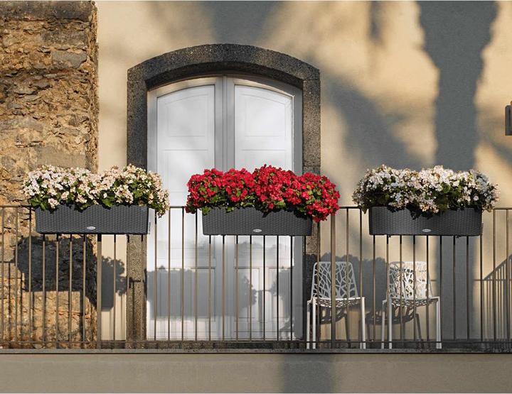 Produktbild Lechuza Balconera Cottage (19 cm)