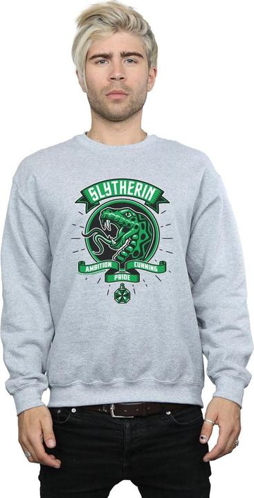 Produktbild Slytherin Toon Crest Sweatshirt (4XL)