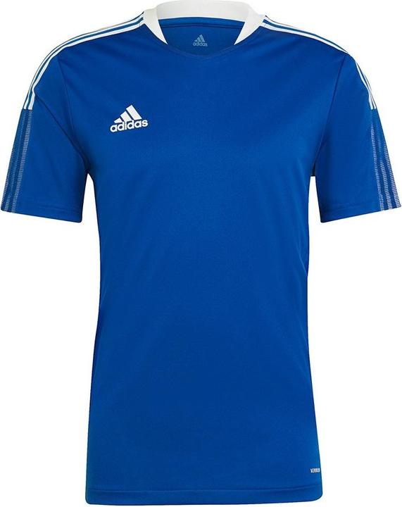 Produktbild adidas Tiro 21 Trainingstrikot (S)
