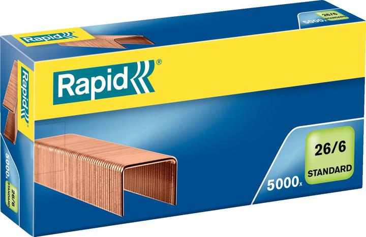 Rapid Standard (1 x)