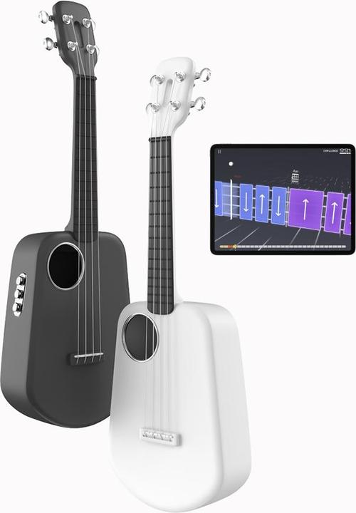 Actual product image Popu Music Populele 2 Pro (Concert)