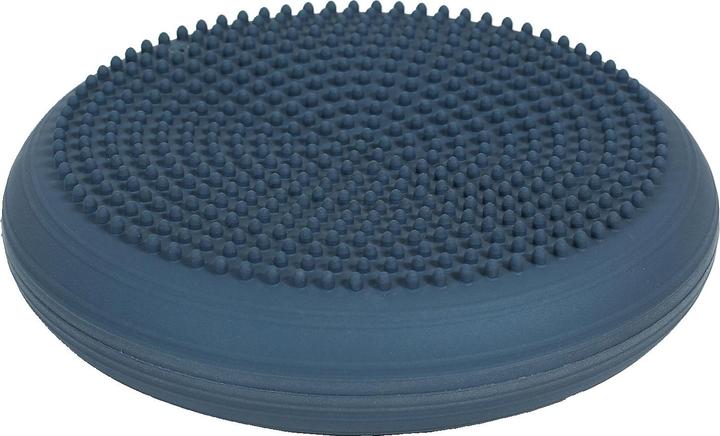 Actual product image Togu Dynair ball cushion Senso 33 cm