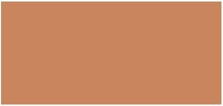 Actual product image Bobbi Brown Skin Long-Wear Concealer Stick & Corrector Stick (Deep Peach)
