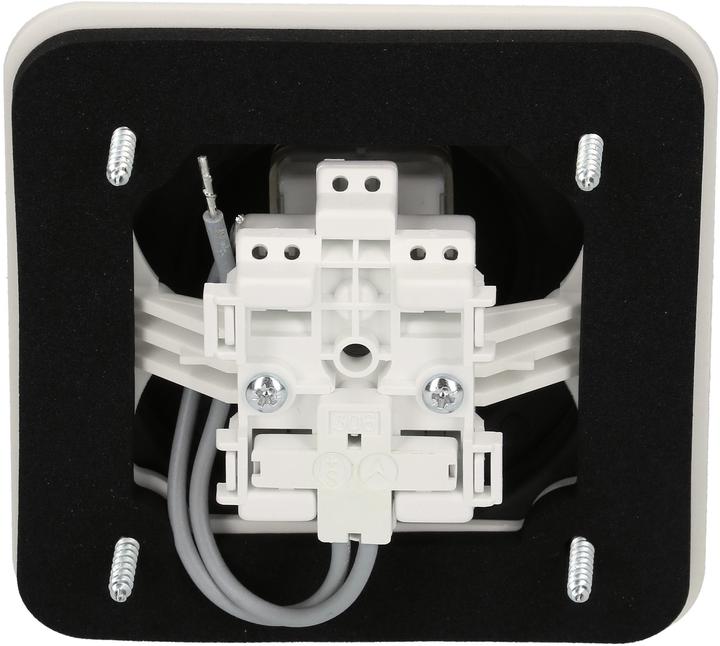 Actual product image Mica 1-gang insert changeover switch
