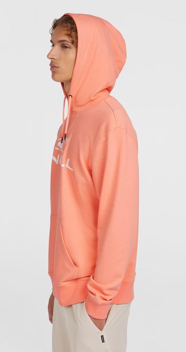 Immagine prodotto O'Neill Logo Hoodie (XL)