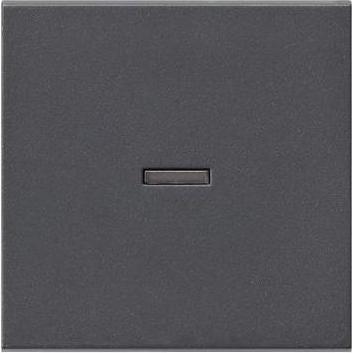 Gira Wippe Kontroll anthrazit 029028 System 55