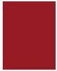 Actual product image Maybelline New York SuperStay Vinyl Ink (10 Lippy)
