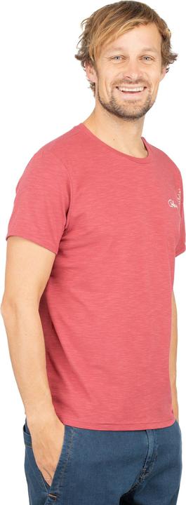 Actual product image Chillaz Mountain Logo (L)