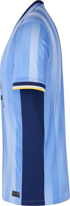 Immagine prodotto Nike Maglia da trasferta del Tottenham Hotspur (L)