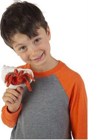 Actual product image Folkmanis Finger puppet hermit crab